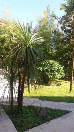 Apartman Taraca Villa Knezevic
