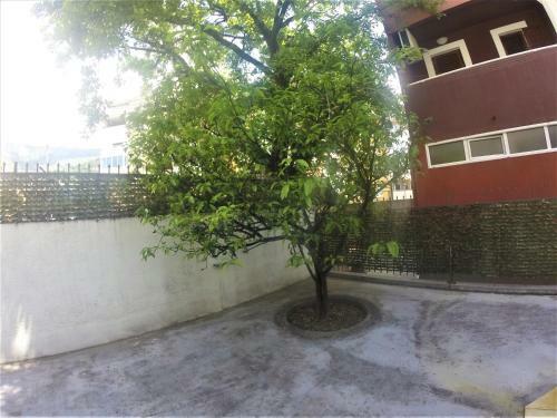 Apartamento Budva Experience