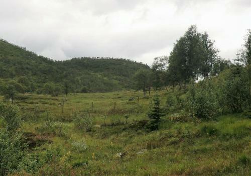 Haukeli Husky Lodge