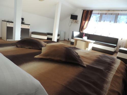 Hostal Pension Steaua Ariesului