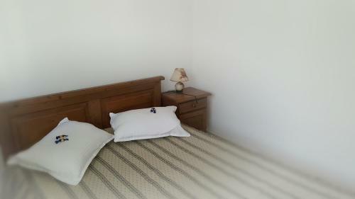 Hostal Pensiunea Perla Ariesului