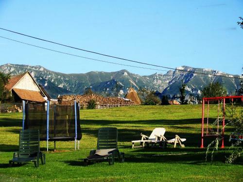 Hostal Vila Ady Bran