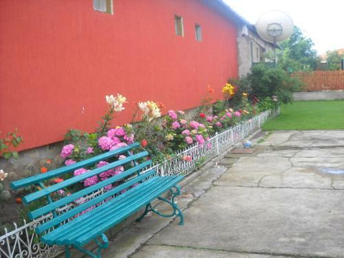 Hostal Casa Miki
