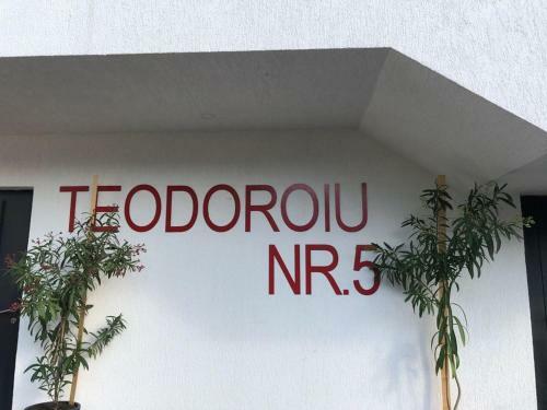 Apartamento Teodoroiu Nr. 5