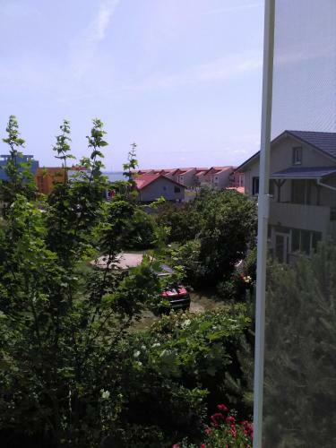 Dalina Mamaia Nord
