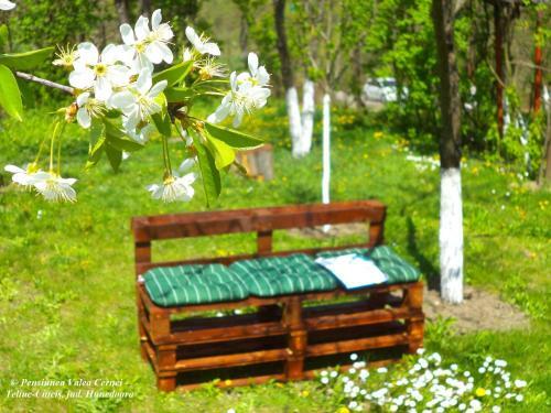 Hostal Pensiunea Valea Cernei