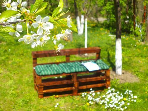 Hostal Pensiunea Valea Cernei