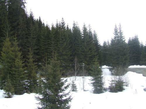 Hostal Transalpina Lac