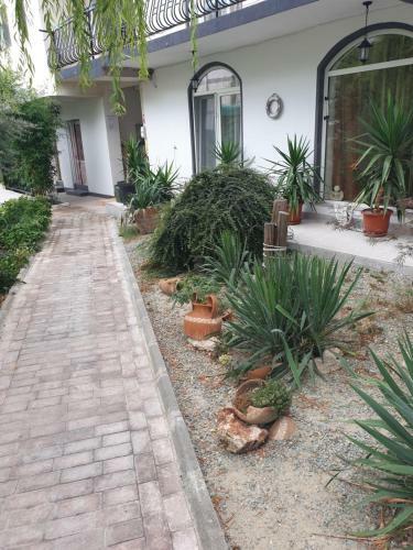 Hostal Casa Kalu