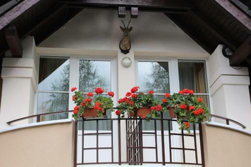 Hostal Pensiunea Colina