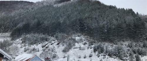 Cottage House Brzece