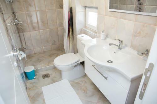 Apartmani "roshu"