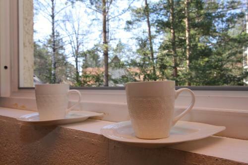 Apartment Vila As