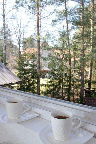 Apartment Vila As