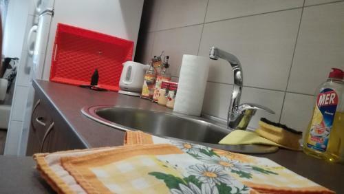 Apartman "lav"
