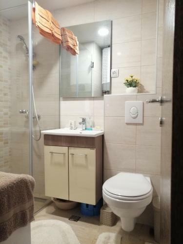 Apartman "lav"