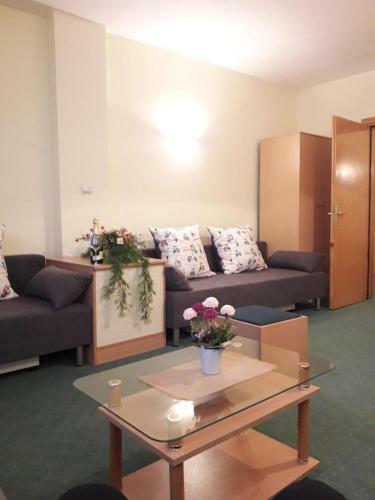 Apartman 410 Vila Nikola