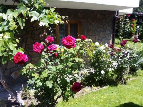 Hostal Albena Guest Rooms