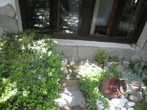 Hostal Guest House Voyno
