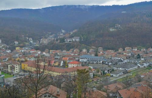 Hotel Complex Brashlyan