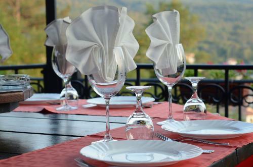 Hotel Complex Brashlyan