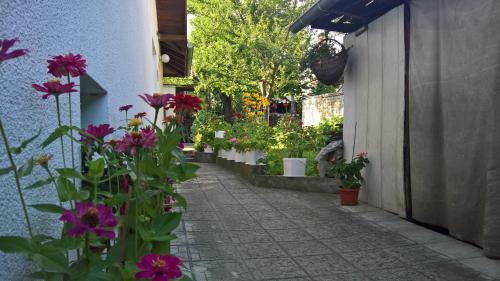 Hostal Guest House Minkovi