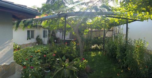 Hostal Guest House Minkovi