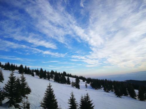 Apartment K9 Milmari Resort