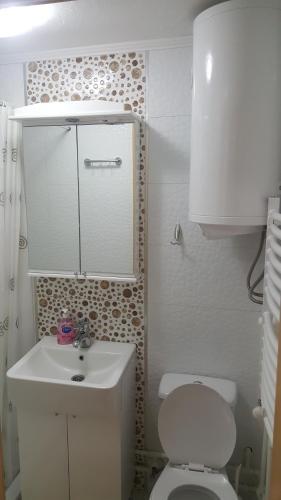 Dajoda