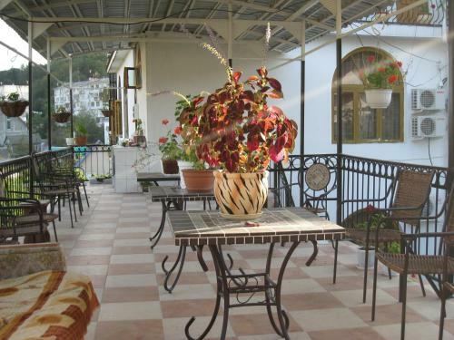 Posada Mini Hotel "saten"
