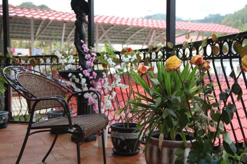 Posada Mini Hotel "saten"