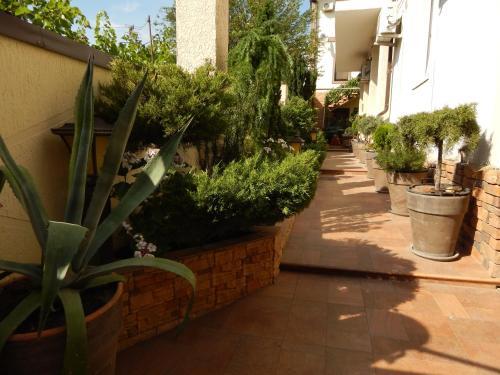 Hostal House Loris