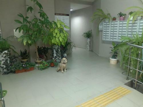 Apartment Morskie