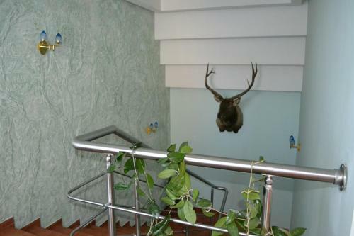 Hotel Zolotoy Ruchej