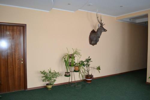 Hotel Zolotoy Ruchej