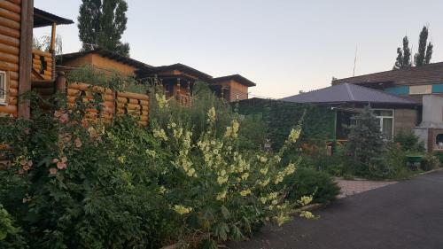Hotel Topaz Health Centre
