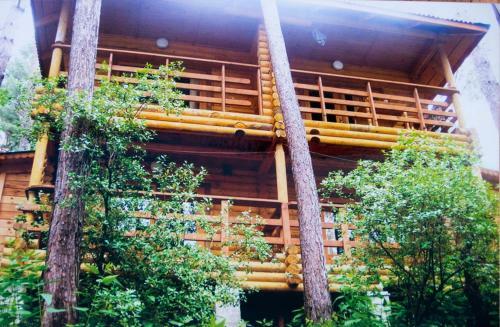 Hotel Altai Star