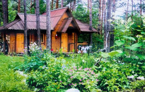 Hotel Altai Star