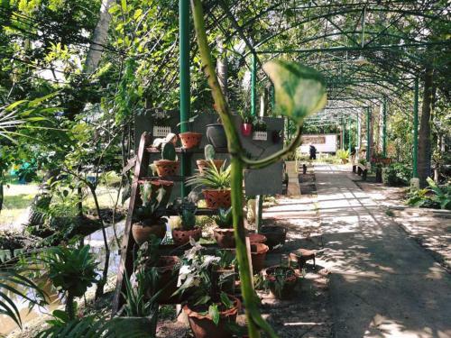 Hotel Ruen Namyen Resort