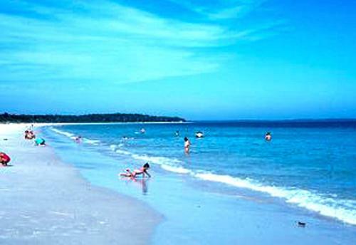 Summer Retreat @ Callala Beach