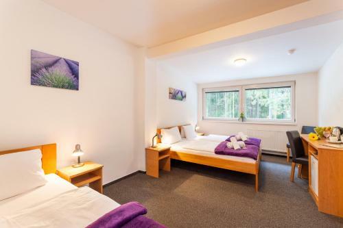 Hotel&wellness Kni?ec� Rybn�k