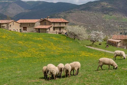 Agroturismo Can Gall�