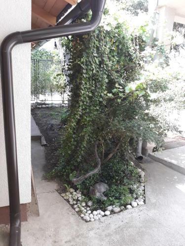 Apartamento Guest House Mickey