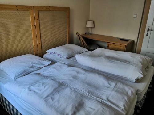 Hostal Penzion U L�py