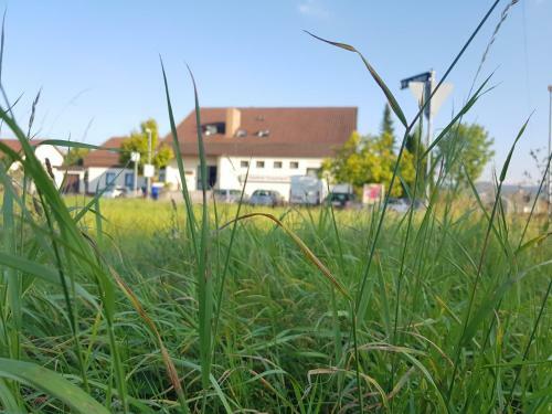 Hostal Hotel Rosenbach