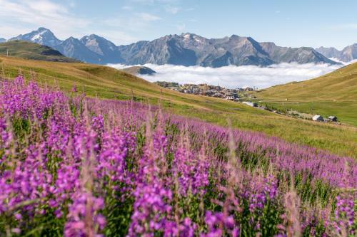 Le Balcon De L'alpe