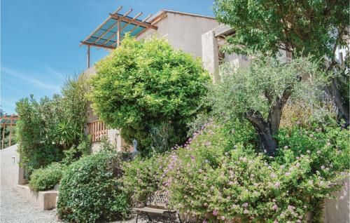 0-bedroom Apartment In Ile Rousse