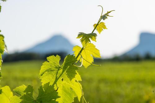 Les D�pendances