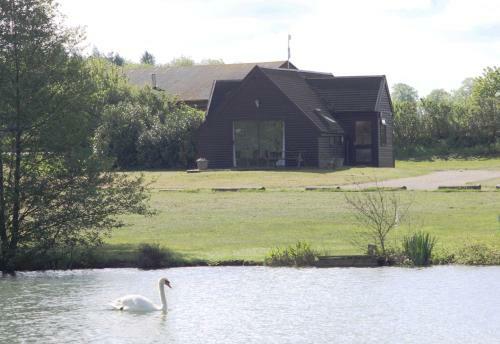 Brook Meadow