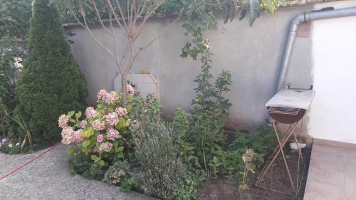 Hostal Chervenkov Guest House